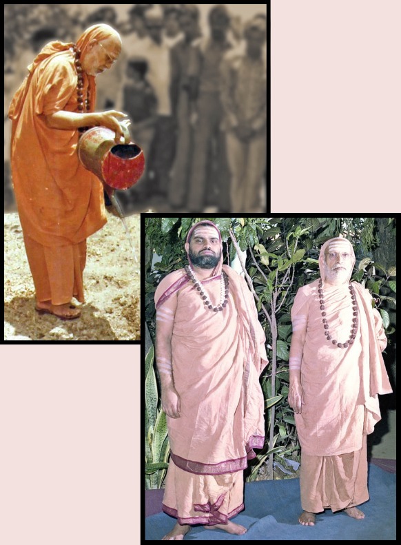 Hospital Administrator